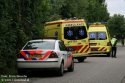 Slachtoffer overleden na insectensteek